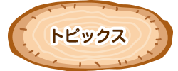 更新情報